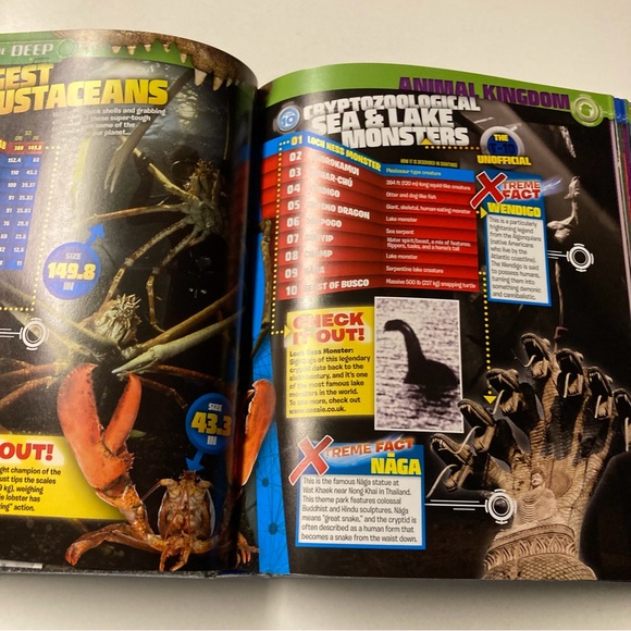 Top 10 of Everything 2015 Hardcover Book - Picture 8 of 12